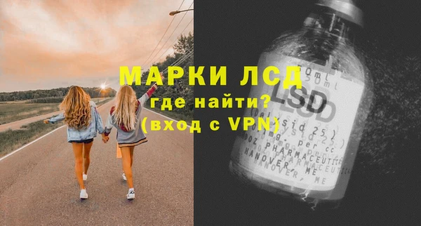 прущие грибы Алзамай