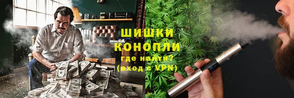 прущие грибы Алзамай